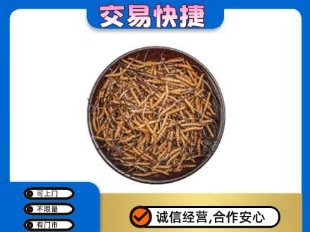 百色凌云县回收散虫草